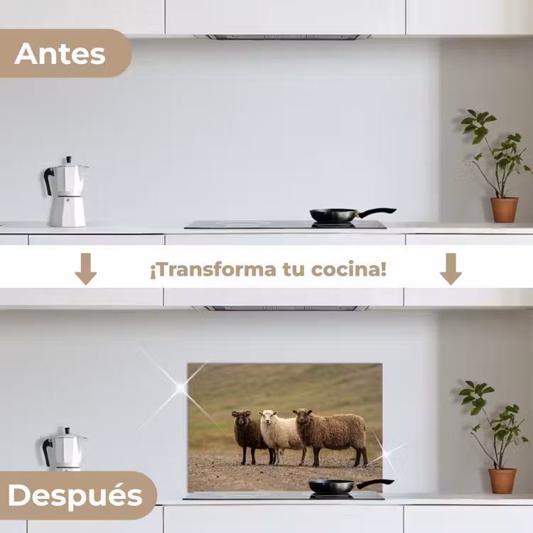 Salpicaderos de cocina - Oveja - Marrón - Blanco - Camino de grava — 7