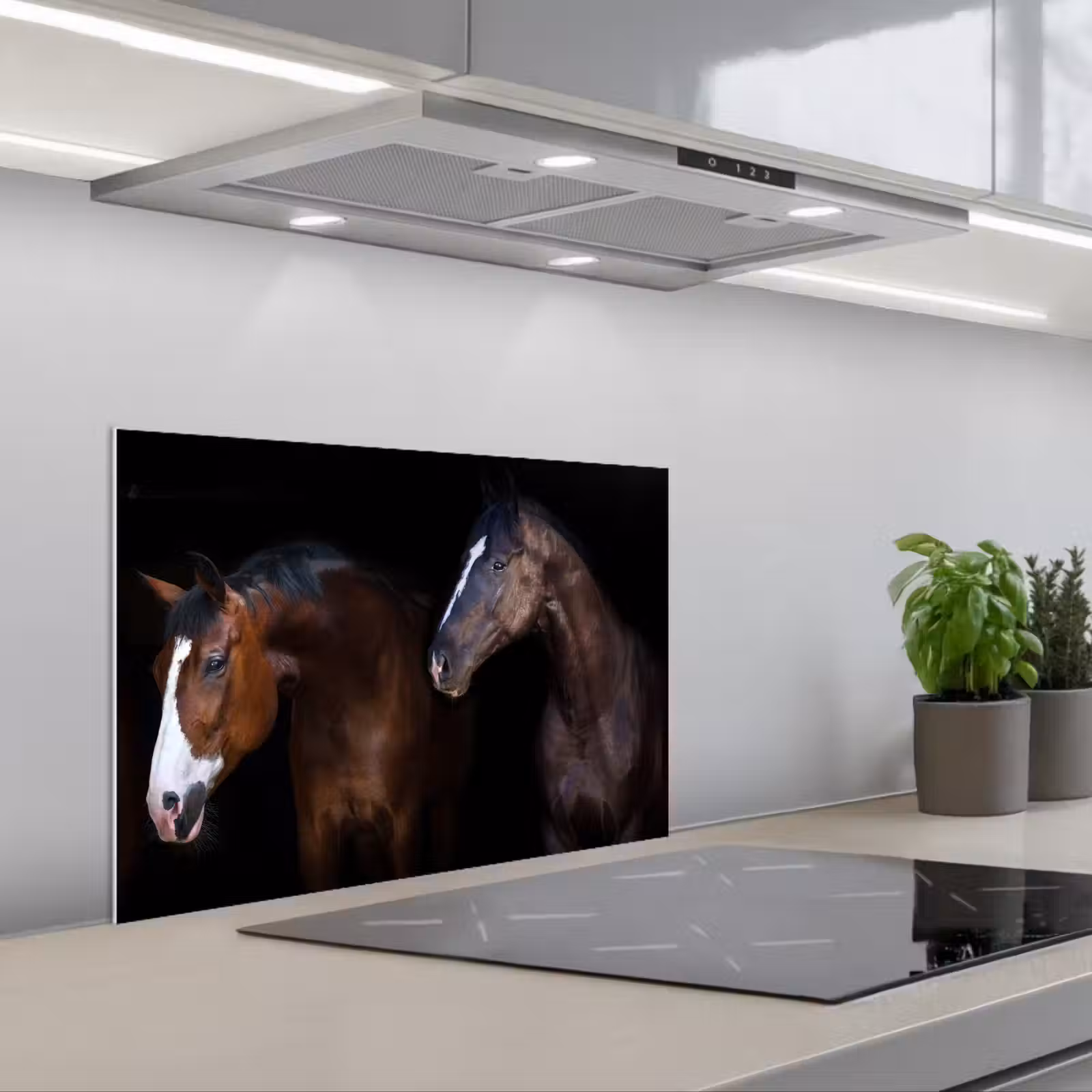 Salpicaderos de cocina - Caballo - Animales - Negro — 1