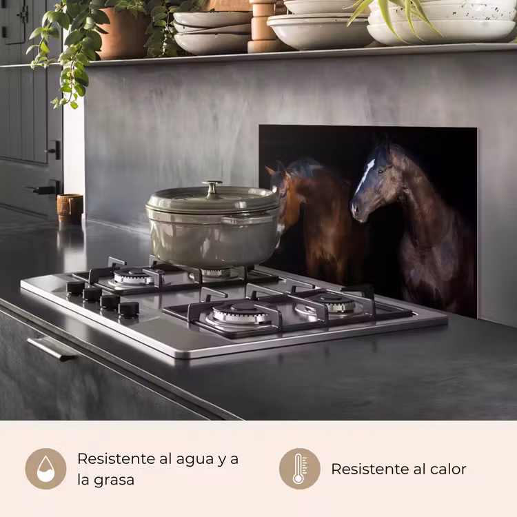 Salpicaderos de cocina - Caballo - Animales - Negro — 2