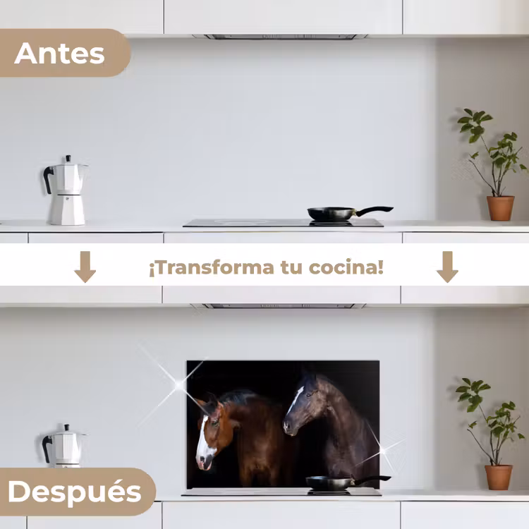 Salpicaderos de cocina - Caballo - Animales - Negro — 7