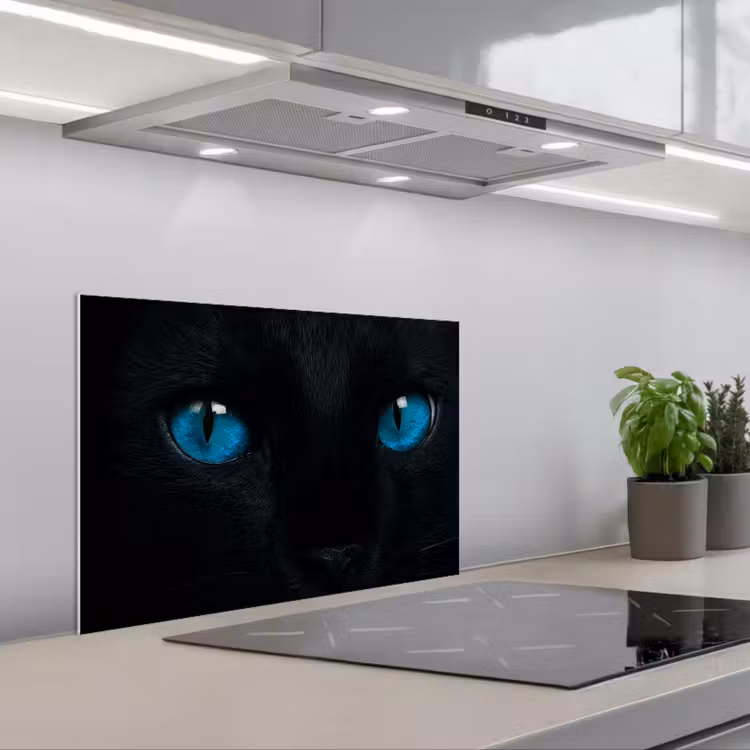 Salpicaderos de cocina - Gato - Azul - Animal - Negro — 1