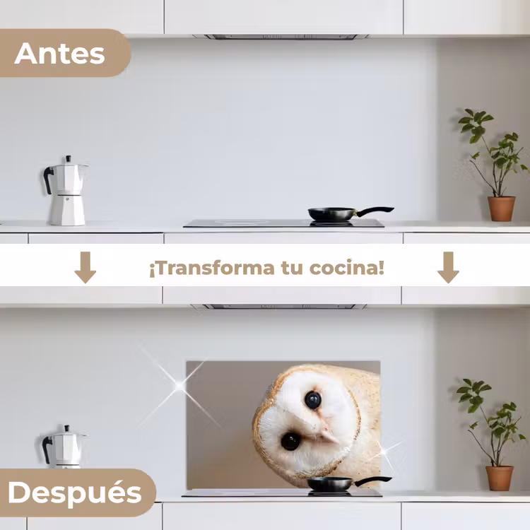 Salpicaderos de cocina - Búho - Marrón - Blanco — 7