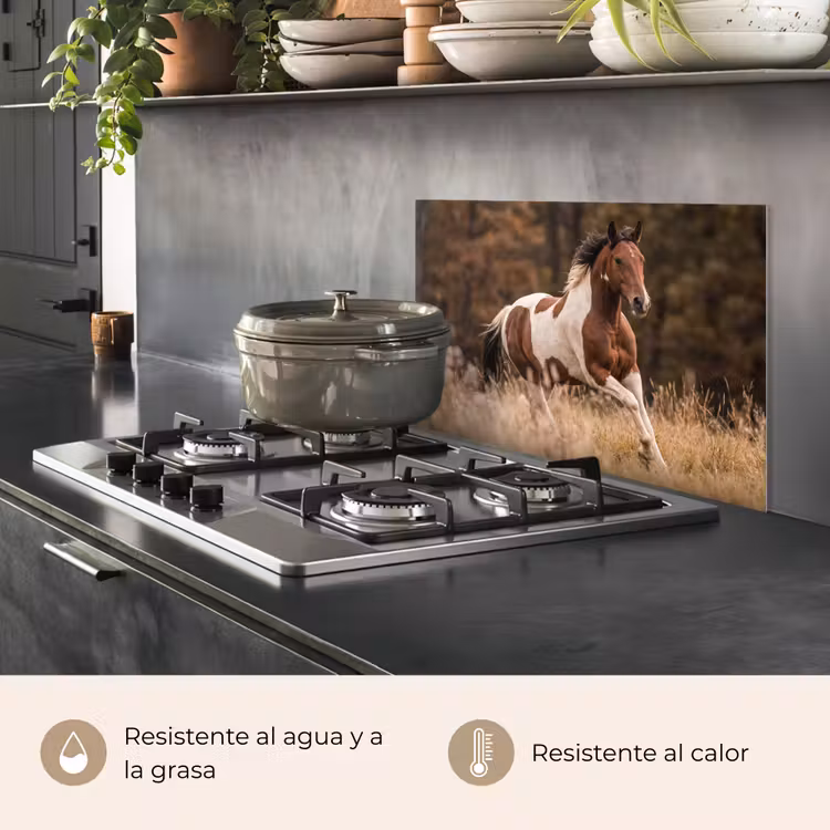 Salpicaderos de cocina - Caballo - Marrón - Hierba — 2