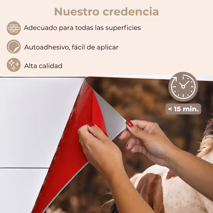 Salpicaderos de cocina - Caballo - Marrón - Hierba — 4