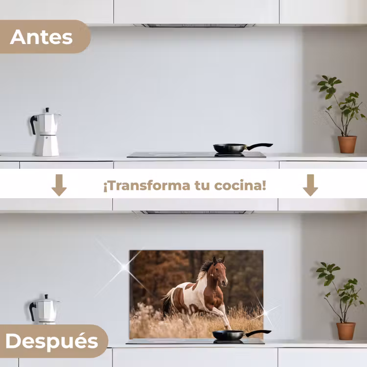 Salpicaderos de cocina - Caballo - Marrón - Hierba — 7