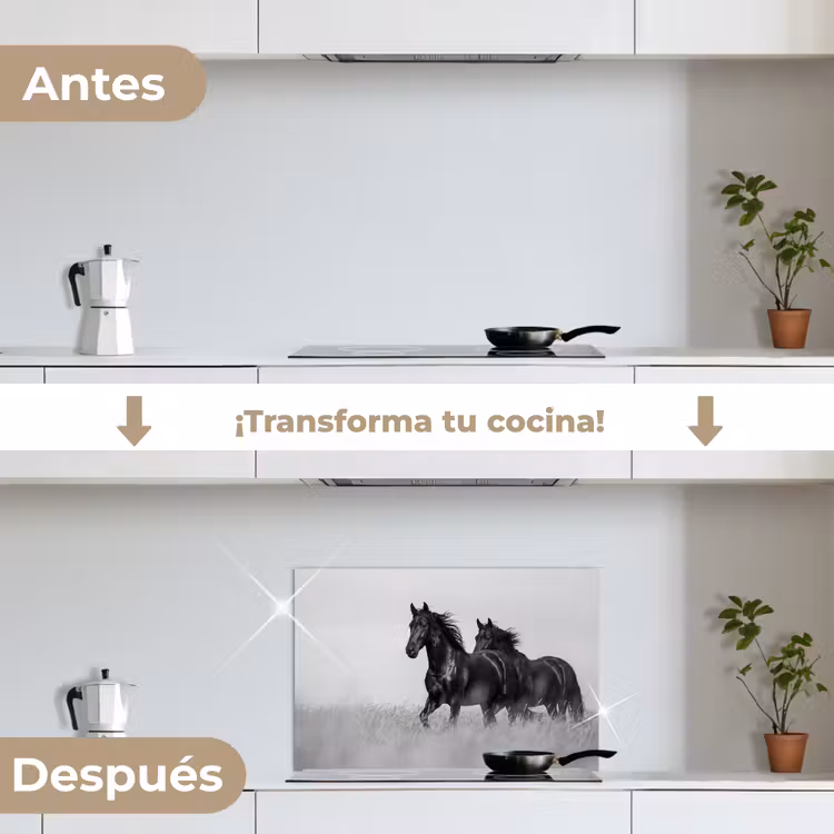 Salpicaderos de cocina - Caballos - Hierba - Negro - Blanco — 7