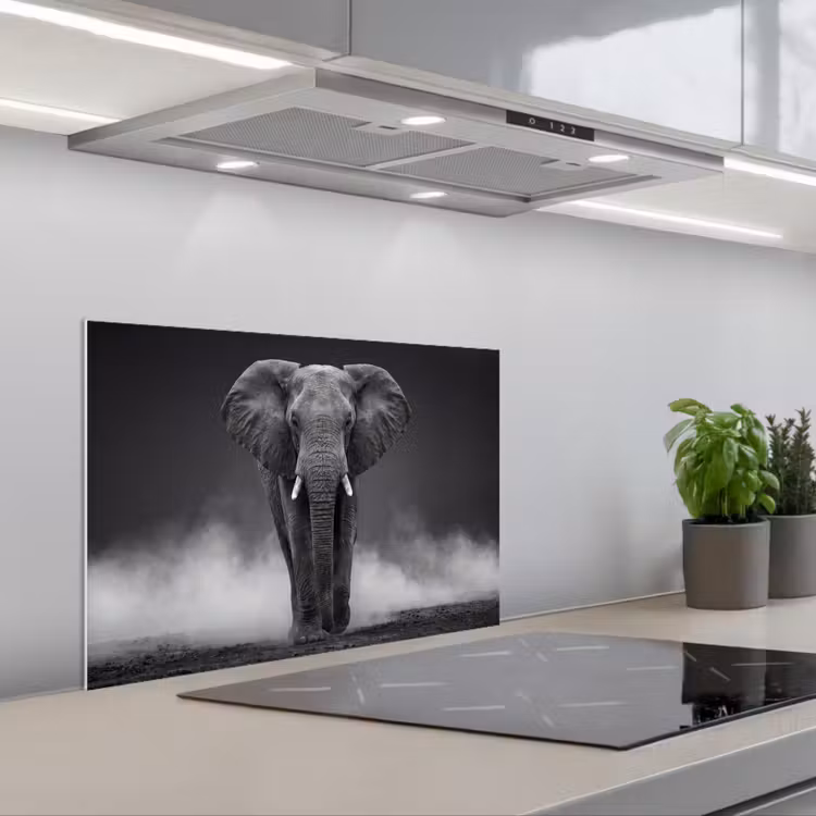 Salpicaderos de cocina - Elefante - Negro - Blanco - Humo — 1