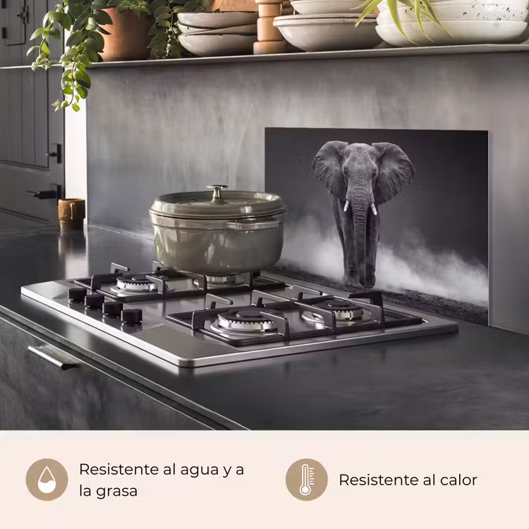 Salpicaderos de cocina - Elefante - Negro - Blanco - Humo — 2