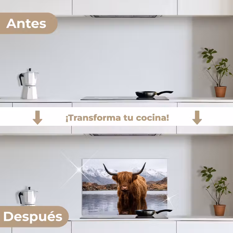 Salpicaderos de cocina - Highlander escocés - Marrón - Agua — 7