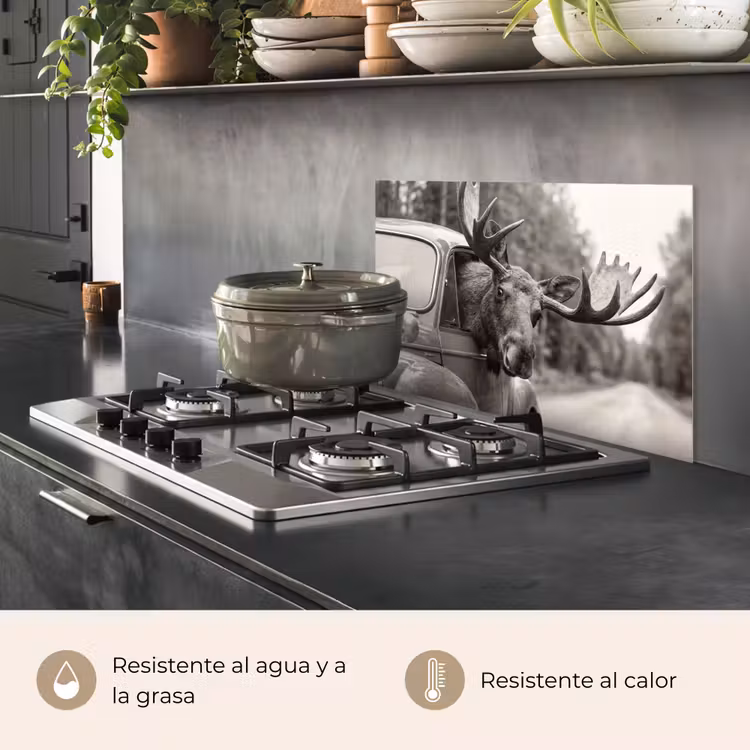 Salpicaderos de cocina - Alce - Coche - Cornamenta - Negro - Blanco — 2