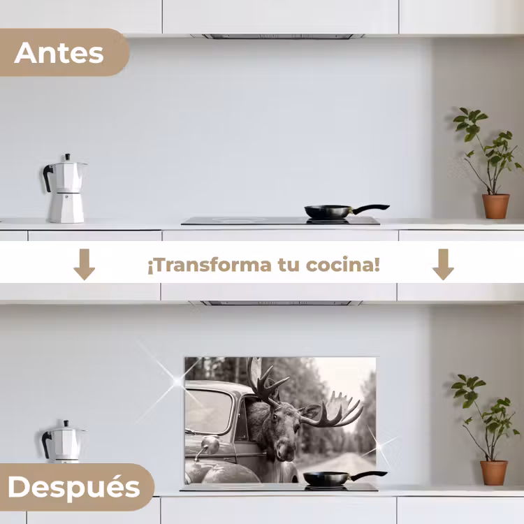 Salpicaderos de cocina - Alce - Coche - Cornamenta - Negro - Blanco — 7