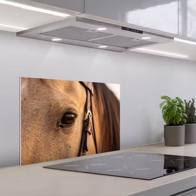 Salpicaderos de cocina - Caballo - Ojo - Marrón — 1