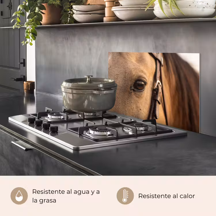 Salpicaderos de cocina - Caballo - Ojo - Marrón — 2