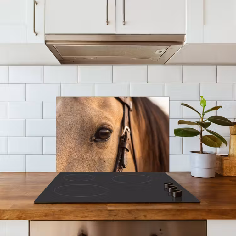 Salpicaderos de cocina - Caballo - Ojo - Marrón — 3