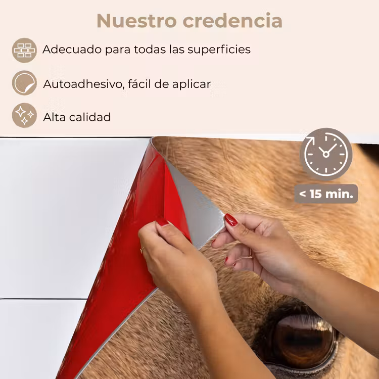Salpicaderos de cocina - Caballo - Ojo - Marrón — 4