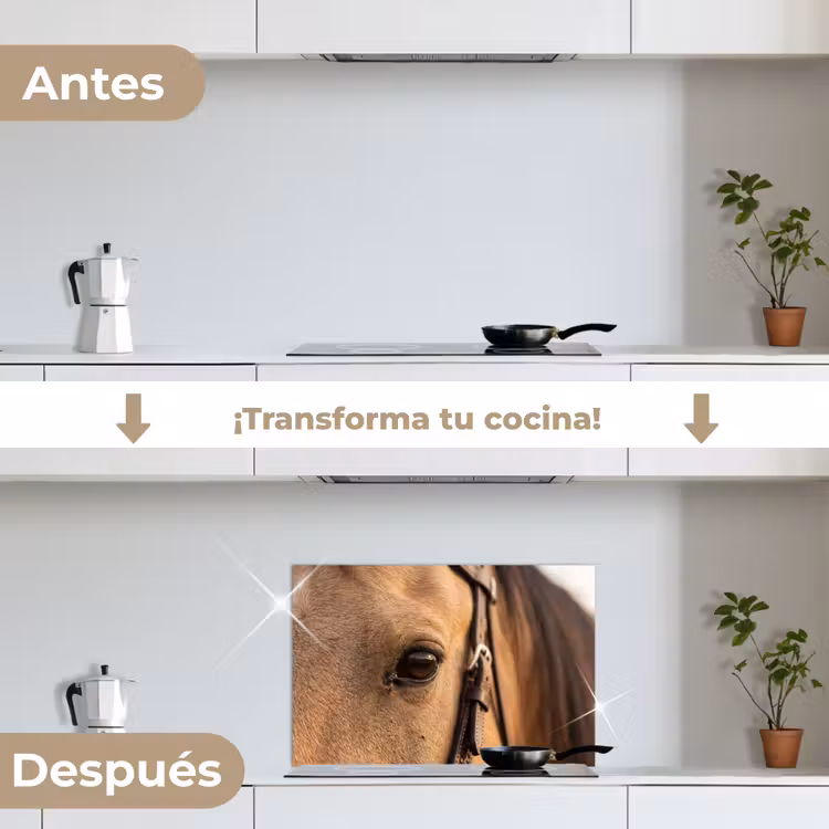 Salpicaderos de cocina - Caballo - Ojo - Marrón — 7