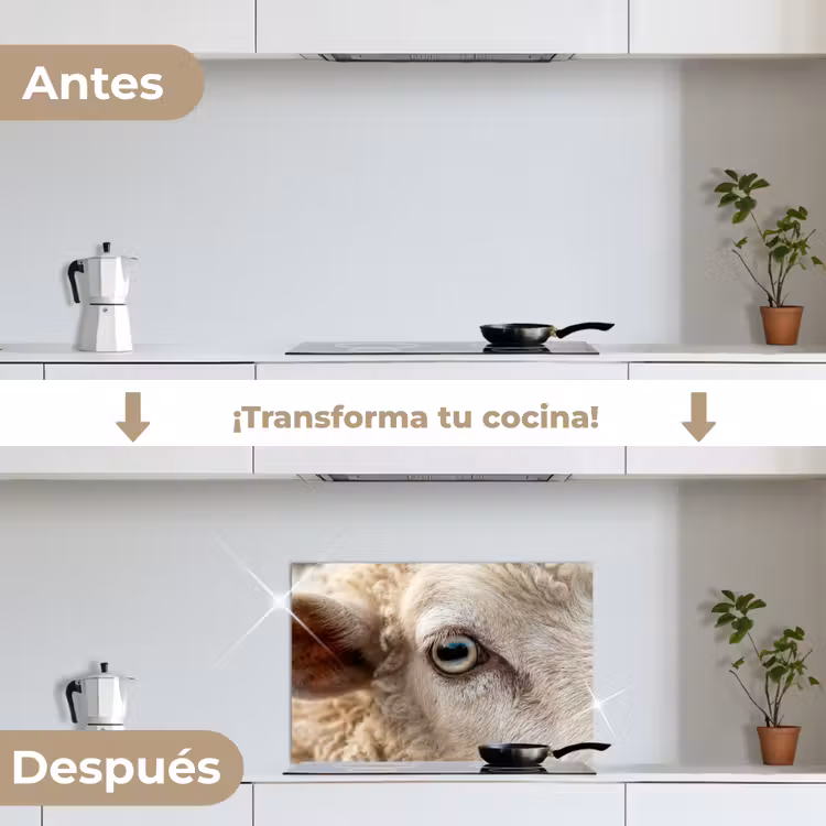 Salpicaderos de cocina - Oveja - Ojo - Blanco — 7
