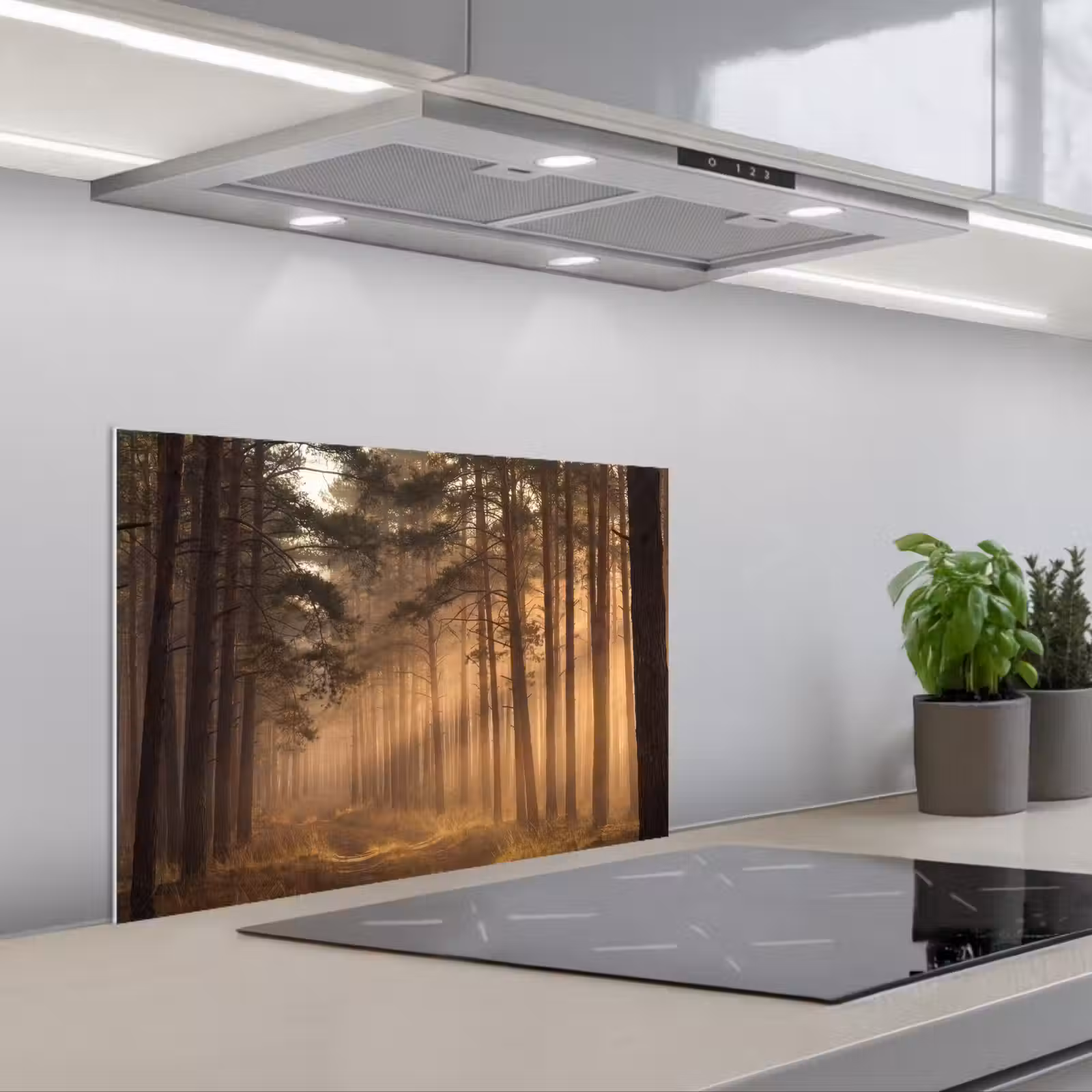 Salpicaderos de cocina - Bosque - Niebla - Luz solar — 1