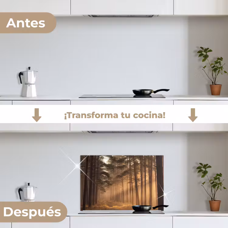 Salpicaderos de cocina - Bosque - Niebla - Luz solar — 7