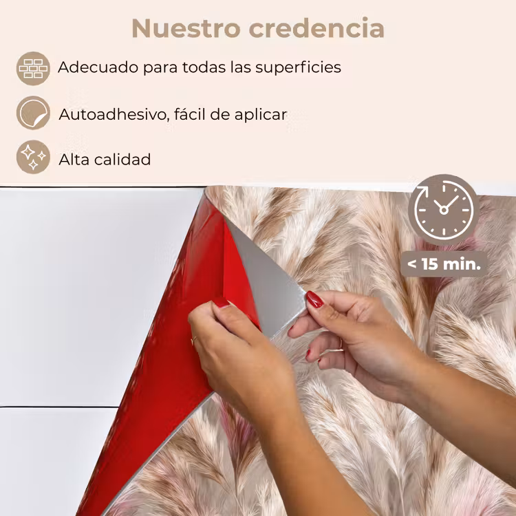 Salpicaderos de cocina - Hierba de la Pampa - Esponjosa - Colorida — 4