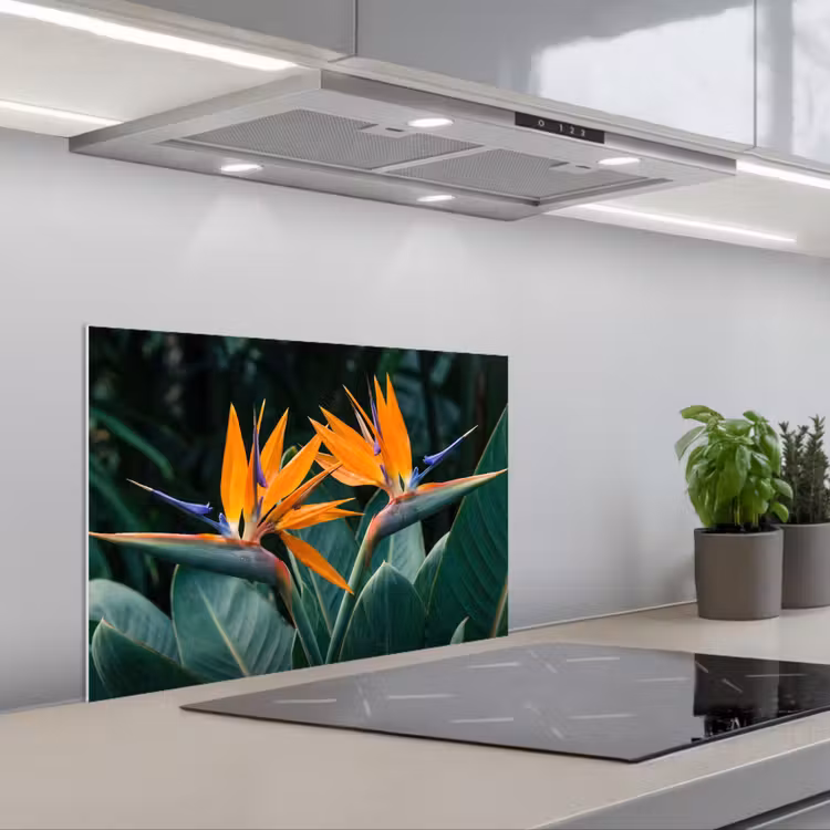 Salpicaderos de cocina - Ave del paraíso - Flor - Exótico — 1
