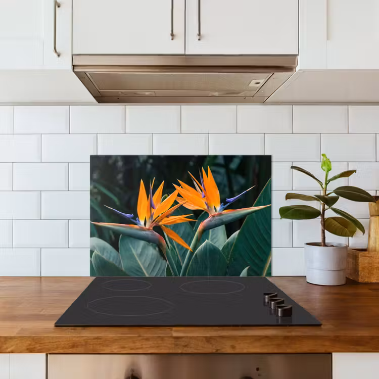 Salpicaderos de cocina - Ave del paraíso - Flor - Exótico — 3