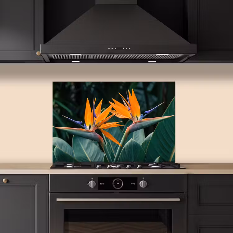 Salpicaderos de cocina - Ave del paraíso - Flor - Exótico — 5