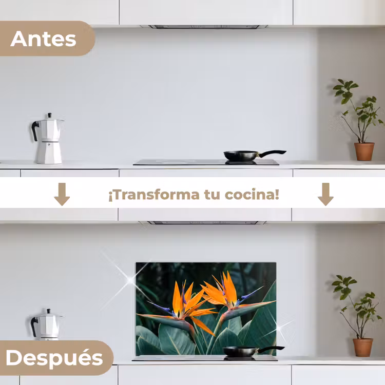 Salpicaderos de cocina - Ave del paraíso - Flor - Exótico — 7