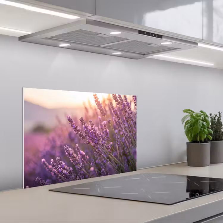 Salpicaderos de cocina - Lavanda - Violeta - Luz solar — 1