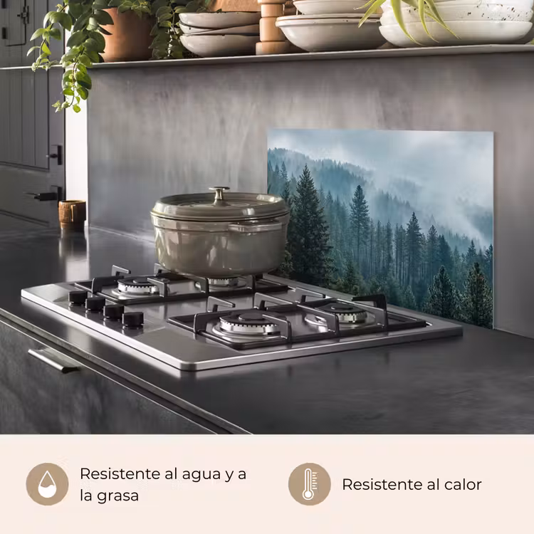 Salpicaderos de cocina - Naaldwoud - Bergen - Niebla — 2