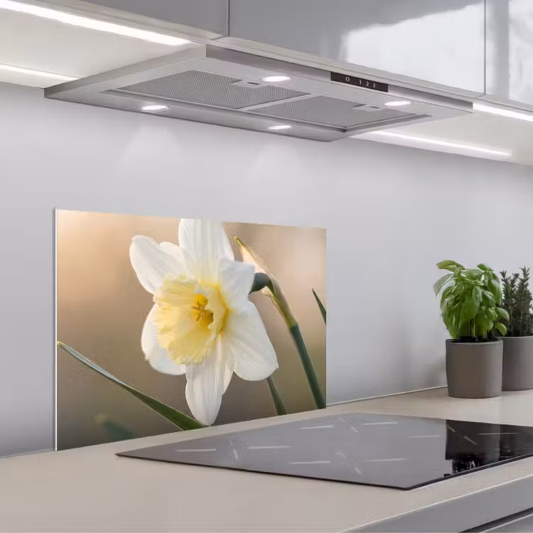 Salpicaderos de cocina - Narciso - Flor - Minimalista — 1