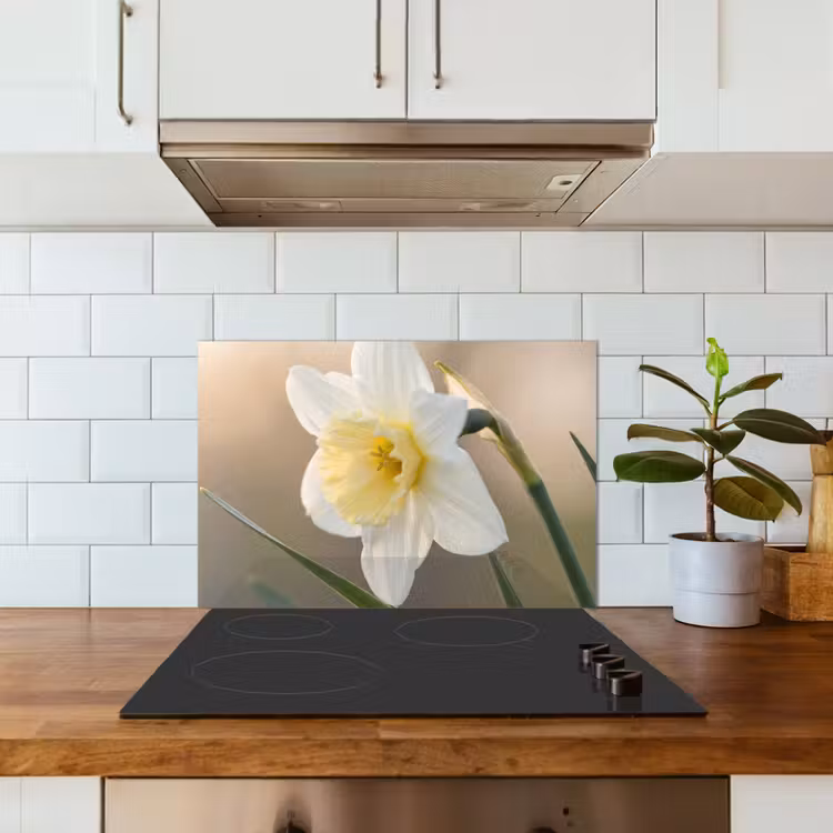 Salpicaderos de cocina - Narciso - Flor - Minimalista — 3