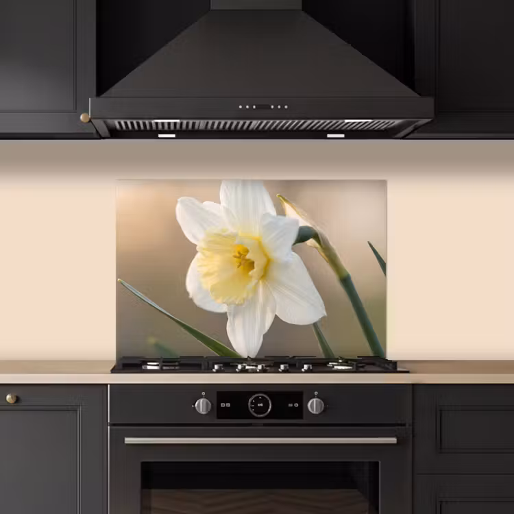 Salpicaderos de cocina - Narciso - Flor - Minimalista — 5