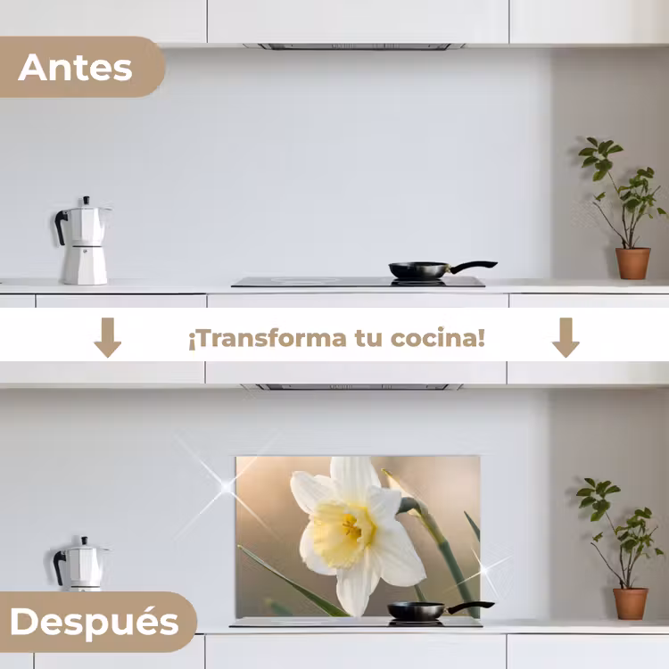 Salpicaderos de cocina - Narciso - Flor - Minimalista — 7