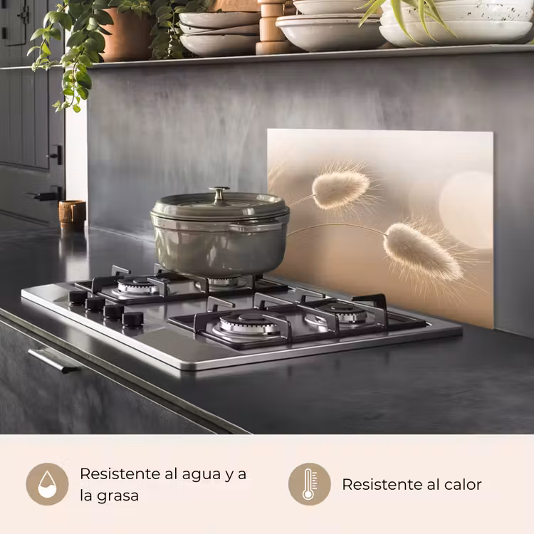 Salpicaderos de cocina - Haze tail grass - Pelos del grano - Luz solar — 2