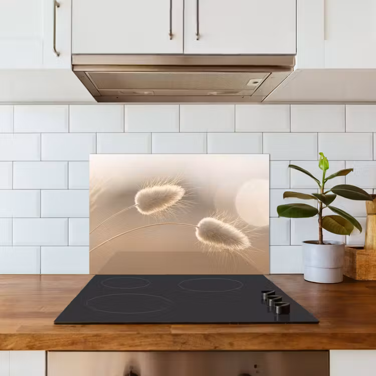 Salpicaderos de cocina - Haze tail grass - Pelos del grano - Luz solar — 3