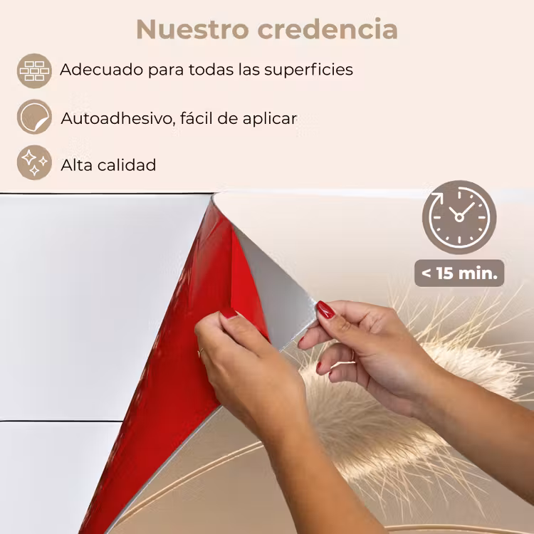 Salpicaderos de cocina - Haze tail grass - Pelos del grano - Luz solar — 4