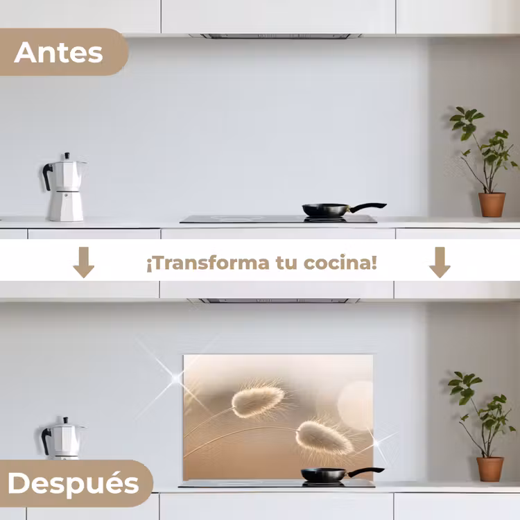 Salpicaderos de cocina - Haze tail grass - Pelos del grano - Luz solar — 7