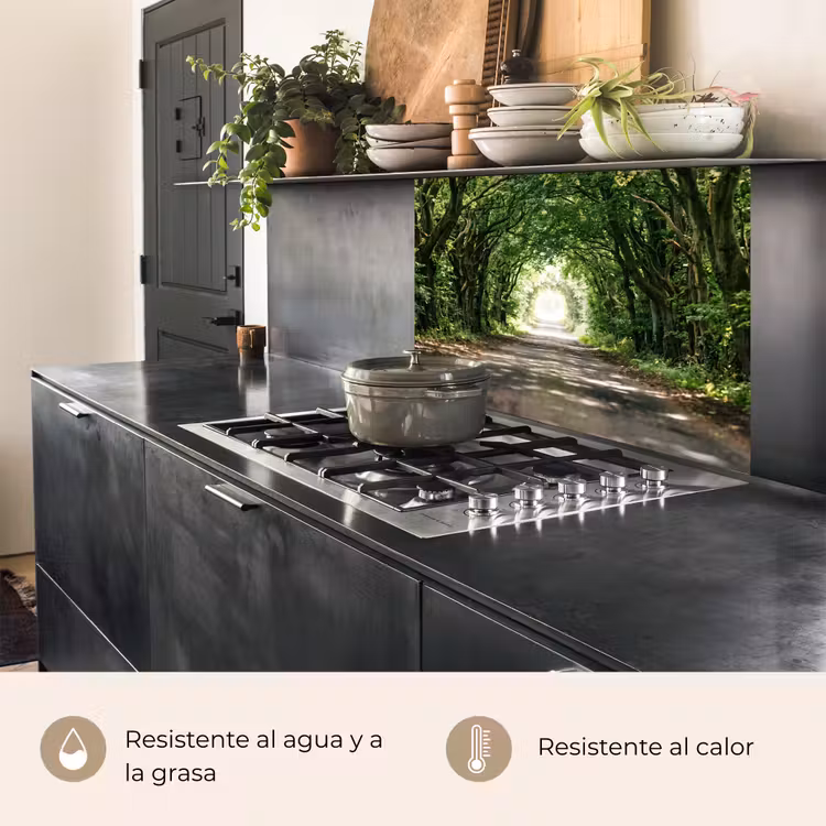 Revestimiento cocina - Carretera - Árboles - Naturaleza - Verde — 4
