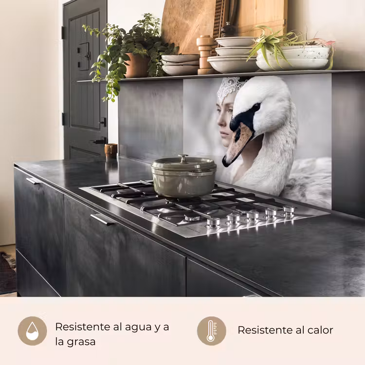 Revestimiento cocina - Mujer - Cisne - Blanco — 4
