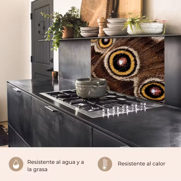 Revestimiento cocina - Mariposa - Ala - Abstracto — 4