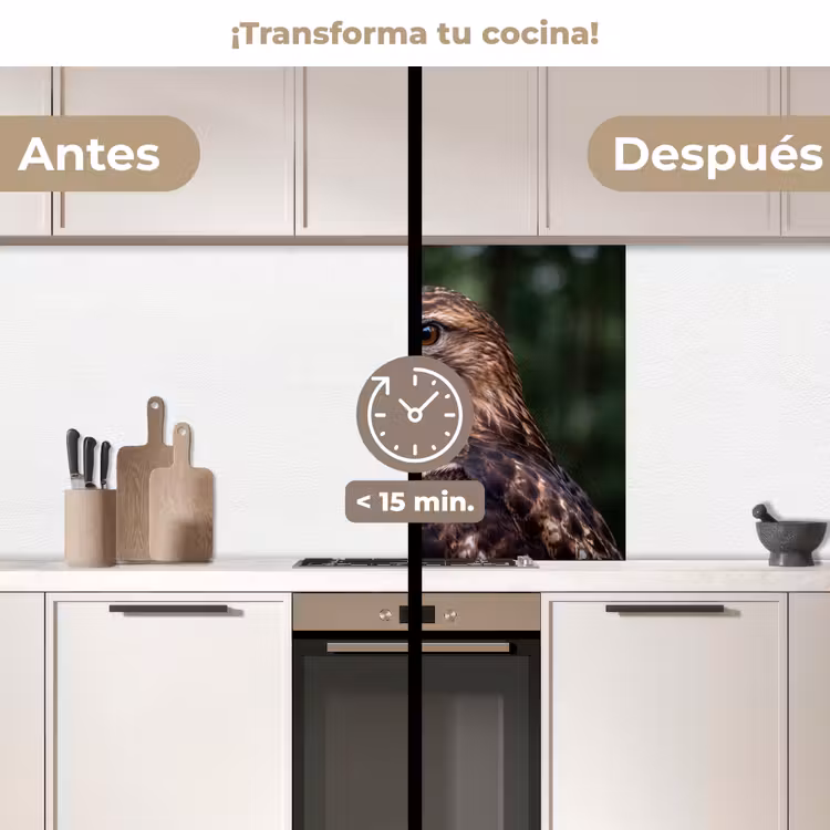 Revestimiento cocina - Busardo ratonero - Ave rapaz - Naturaleza - Marrón — 2