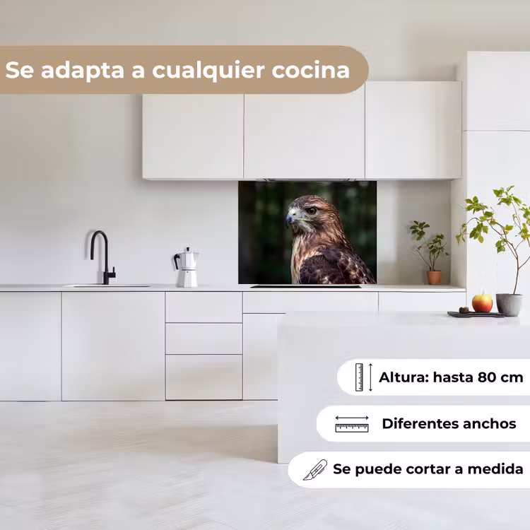 Revestimiento cocina - Busardo ratonero - Ave rapaz - Naturaleza - Marrón — 6