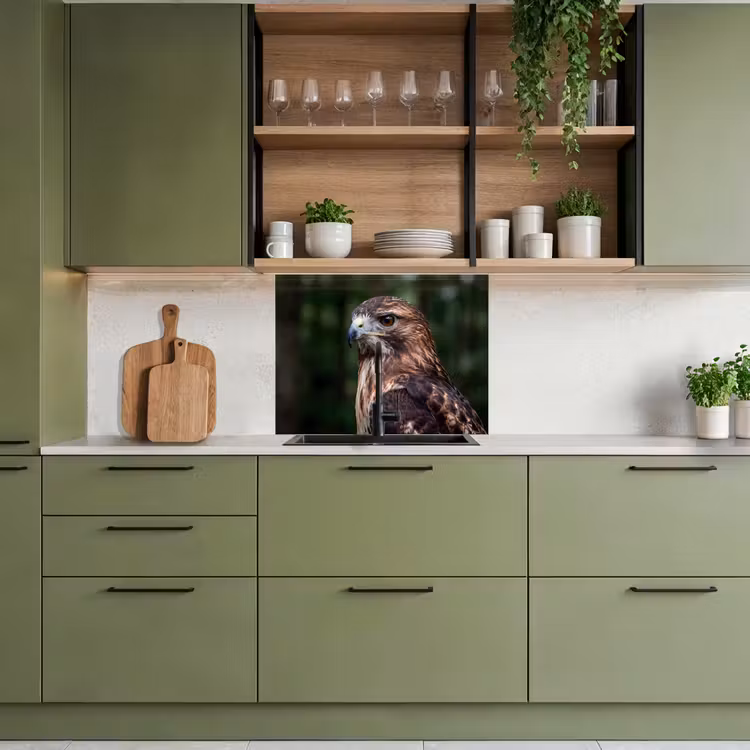 Revestimiento cocina - Busardo ratonero - Ave rapaz - Naturaleza - Marrón — 7