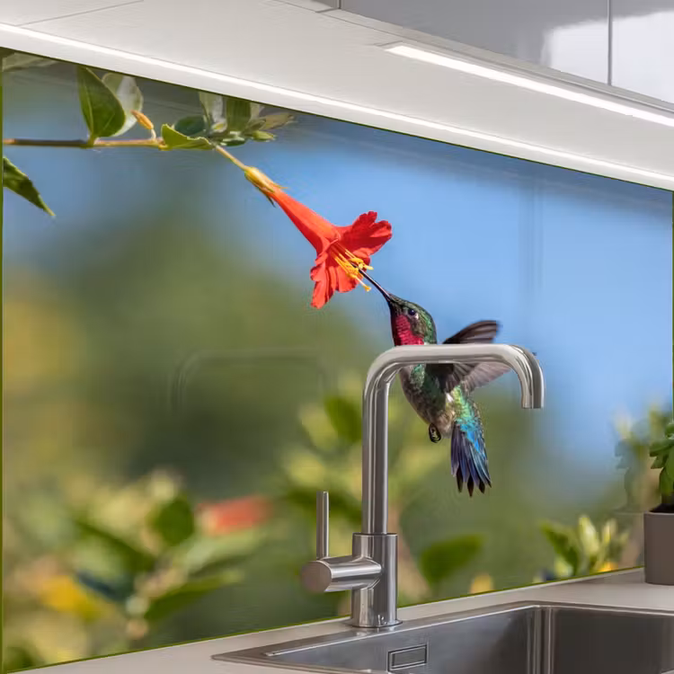 Revestimiento cocina - Colibrí - Flor - Naturaleza - Verde — 1