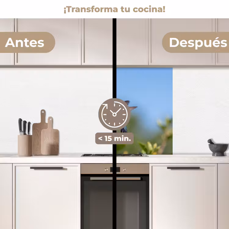Revestimiento cocina - Colibrí - Flor - Naturaleza - Verde — 2