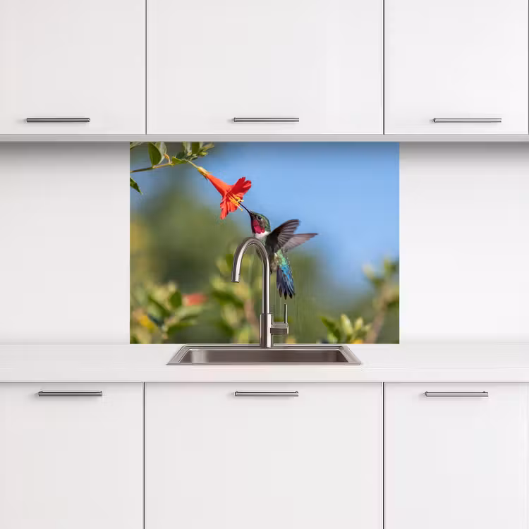 Revestimiento cocina - Colibrí - Flor - Naturaleza - Verde — 3