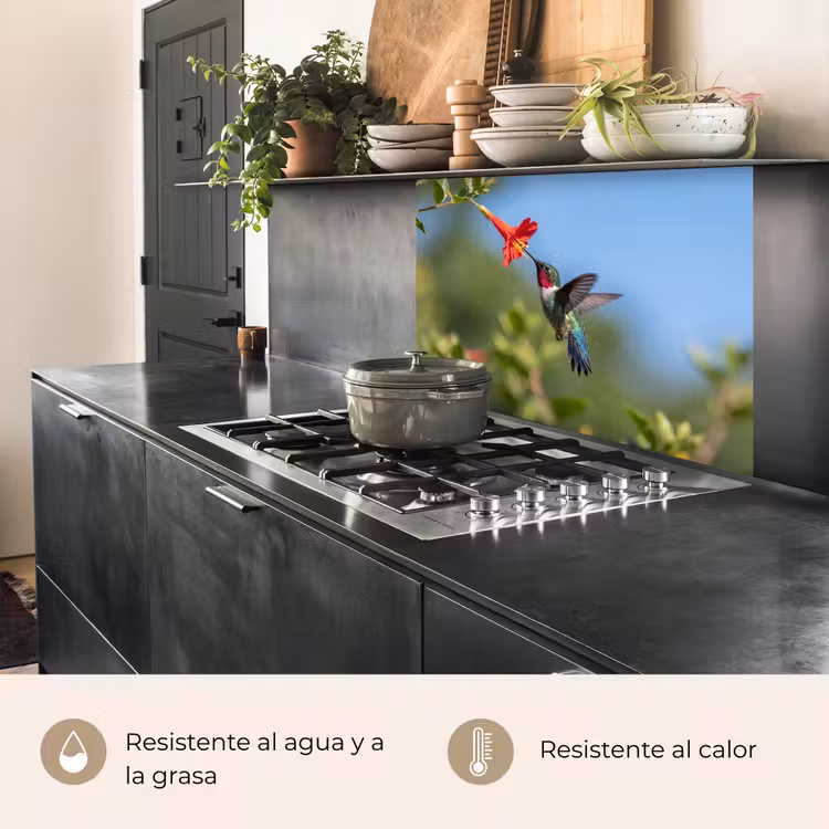 Revestimiento cocina - Colibrí - Flor - Naturaleza - Verde — 4