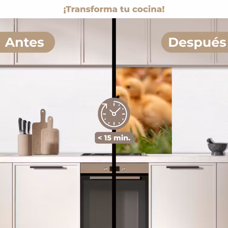 Revestimiento cocina - Flecha - Pato - Naturaleza - Amarillo — 2