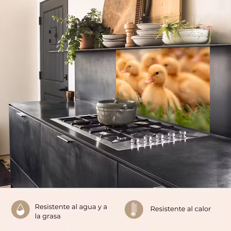 Revestimiento cocina - Flecha - Pato - Naturaleza - Amarillo — 4